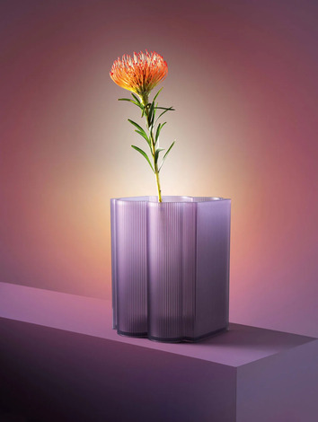 Kartell-Okra-Vase-H24-Violet-Lifestyle