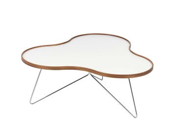 Flower_white_oak_114