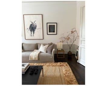 Tinted-Sandh-Jute-Rug-1