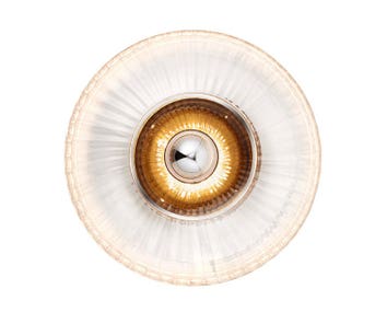 23031-New-Wave-Optic-Wall-XL---Clear