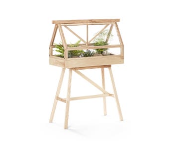 Greenhouse-Vaxthus-Ask