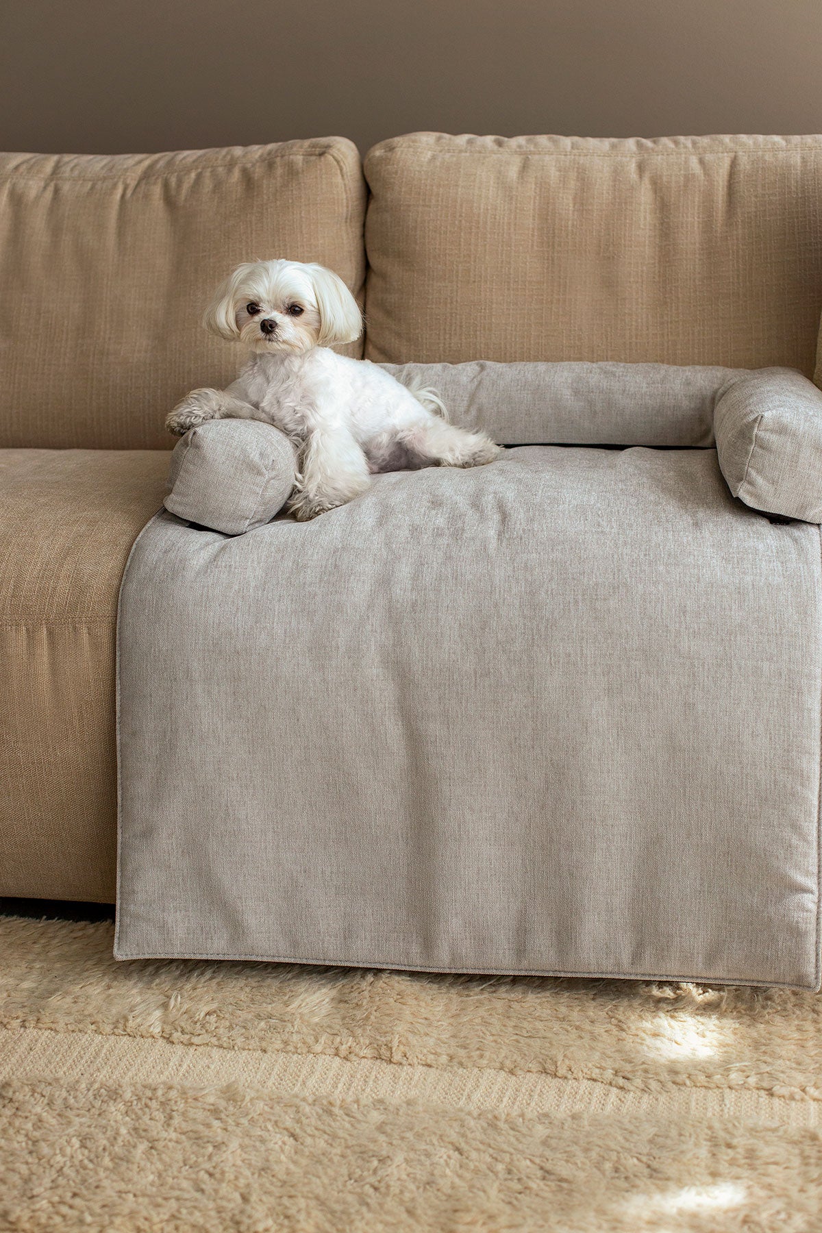 Vilmers-Collie-Pet-Bed-Lifestyle-4