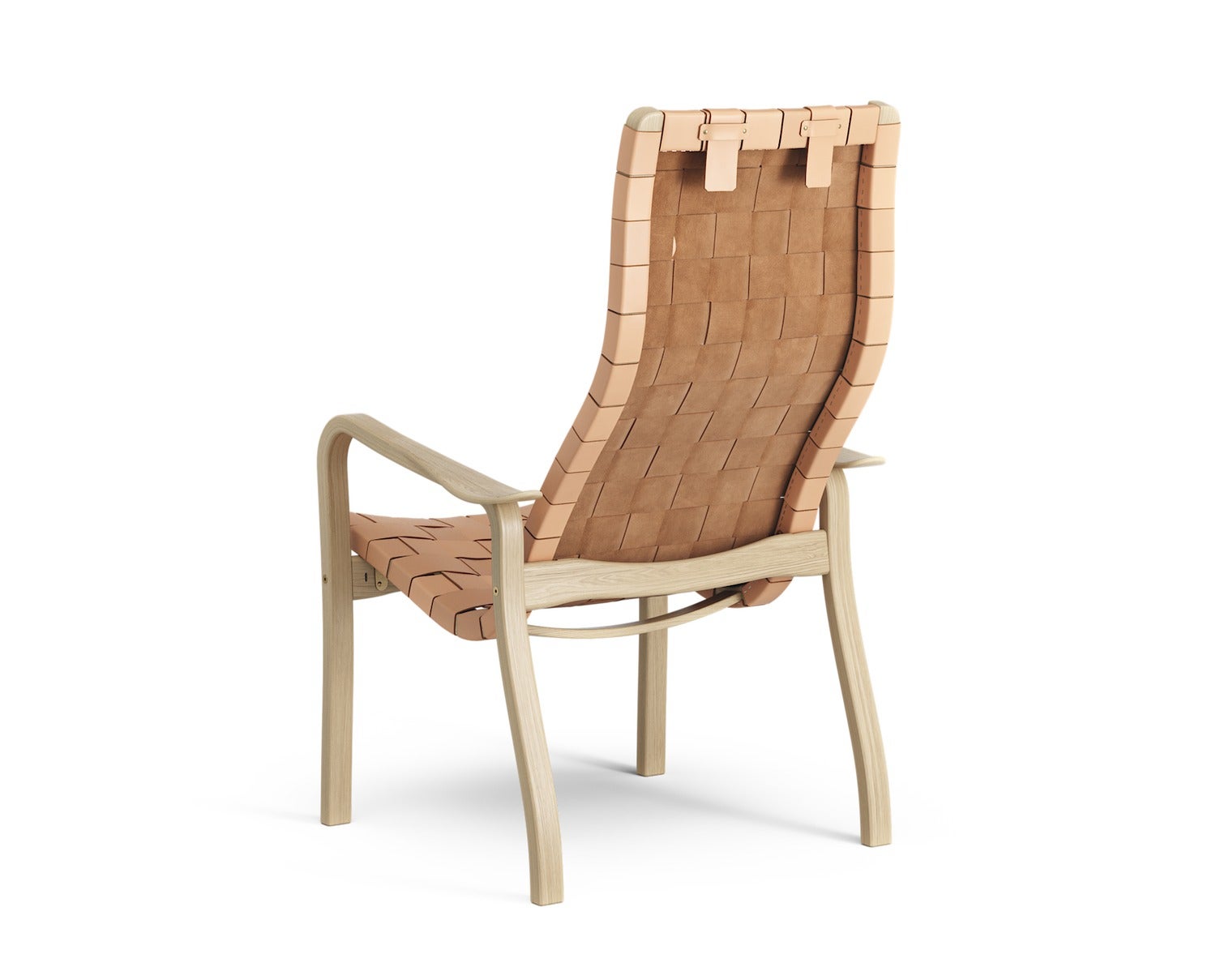 Primo-Hog-23203ENRN-back