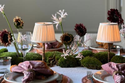 House-of-firefly-brand-header-2.jpg House-of-firefly-brand-header-2