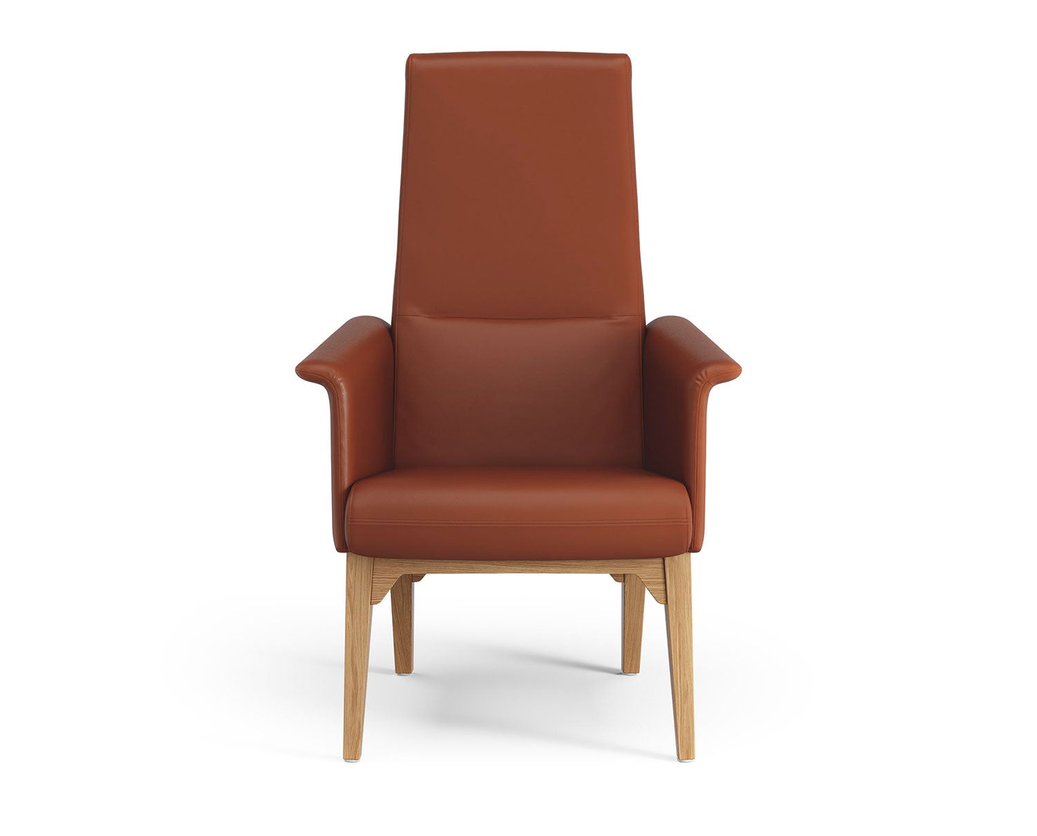 Lazy-Fåtölj-Hög-Oljad-Ek-ElmoSoft-33001