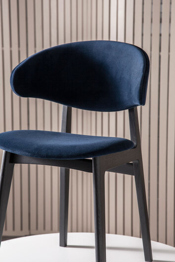 Ram-Wood-Comfort-Matt-Svart-Lackerad-Ask-Megan-Velour-Miljöbild_03