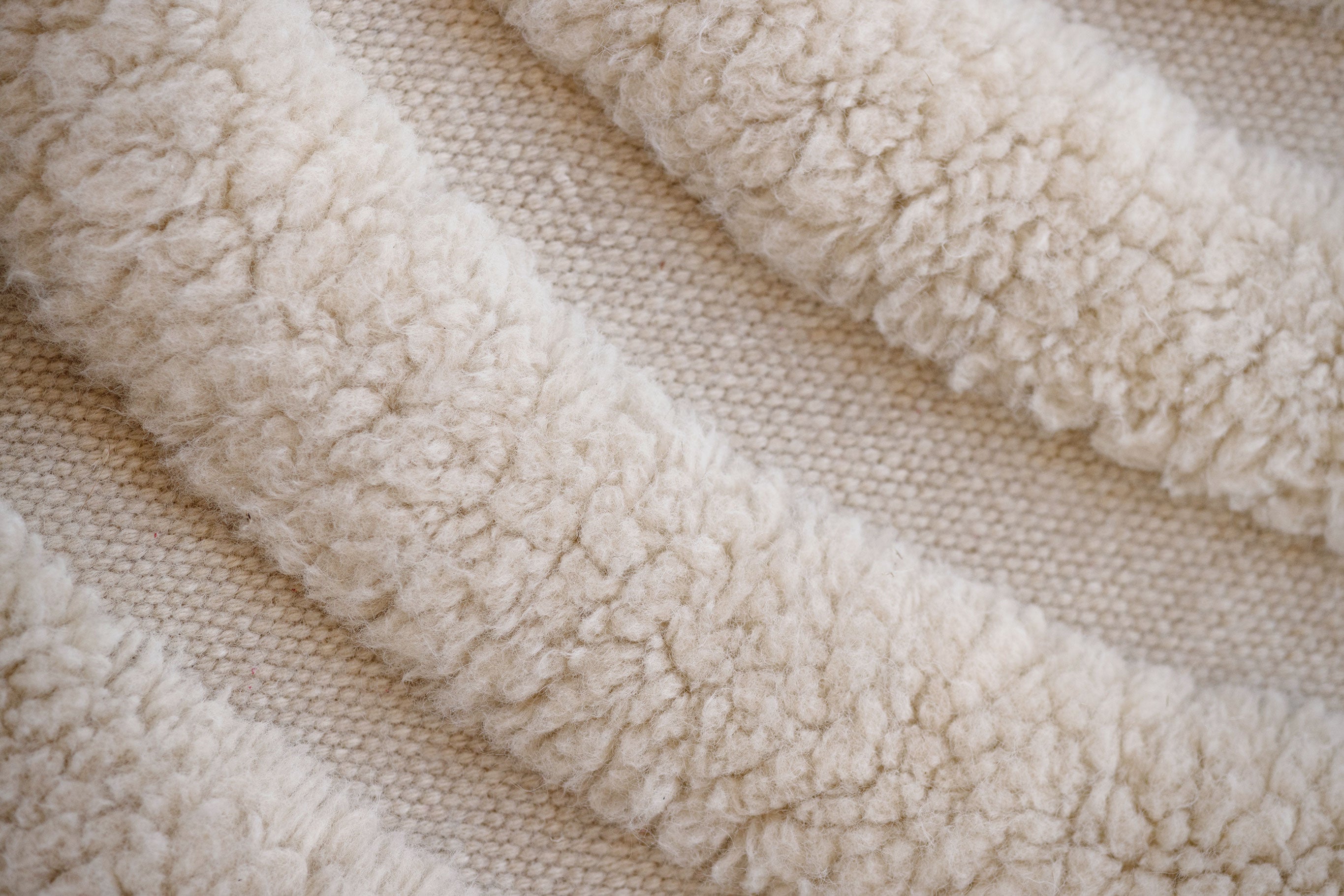 Guide-Remove-stains-from-rug-Tibergs