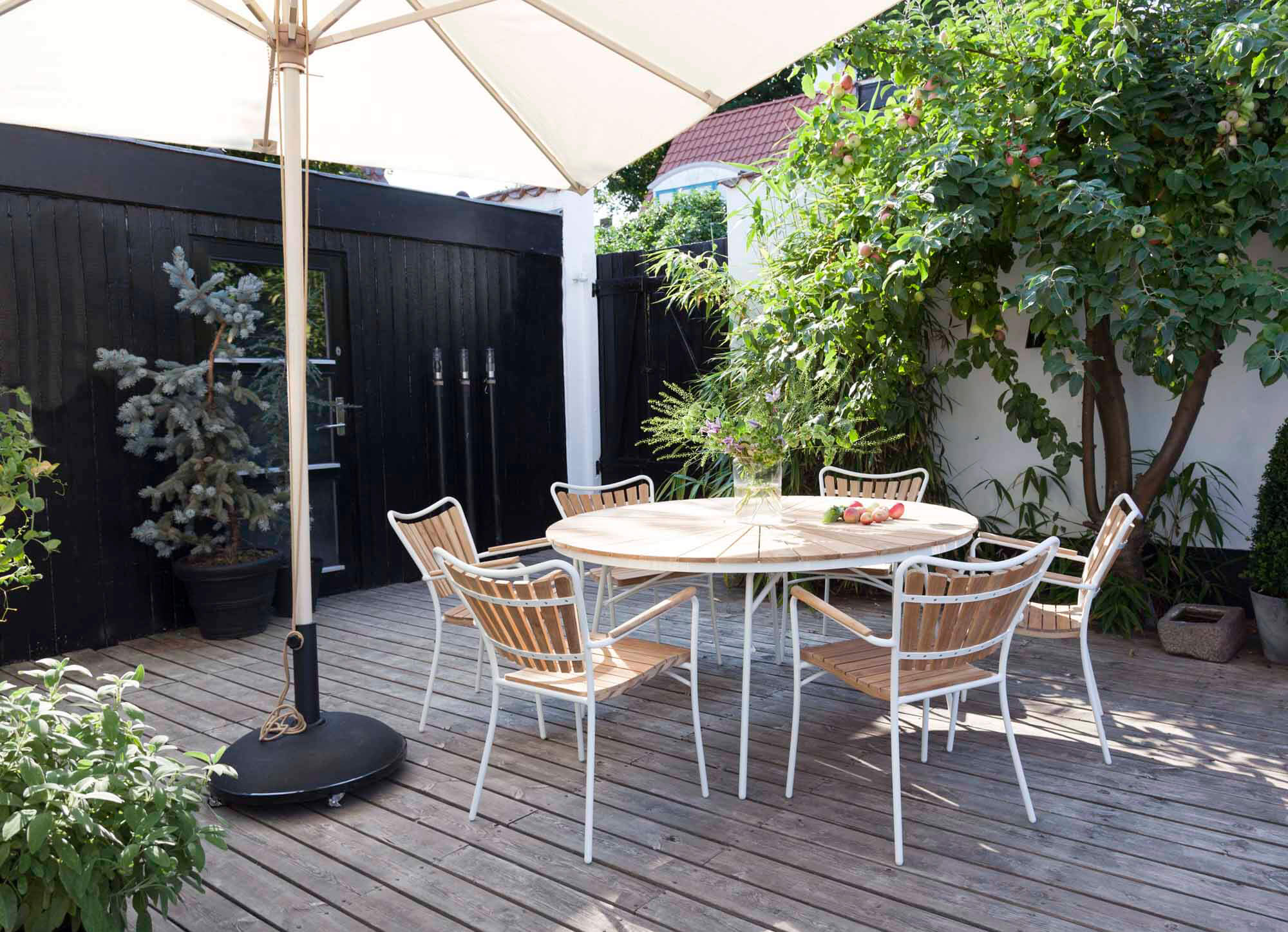 ellen-3515009-miljö2-Cinas