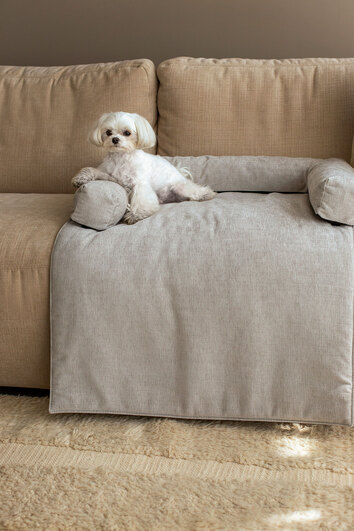 Vilmers-Collie-Pet-Bed-Lifestyle-4