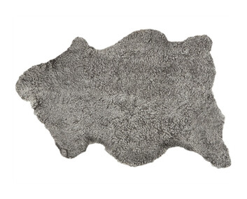 Ella-Farskinn-100x60-Gragrafit