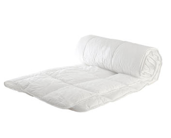 tacke_gullviva_medium